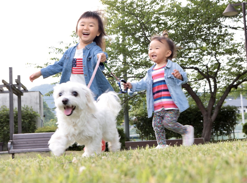 最優秀賞「さあ、お散歩に出発進行！」の写真