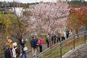 写真:中世さがみはら探訪02