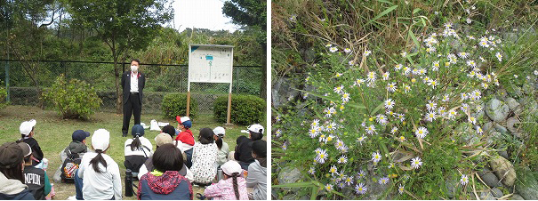 写真:お花見会とカワラノギク