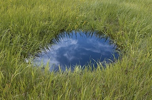 中井 菜央さん作品の画像