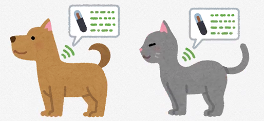 迷子札 イラスト