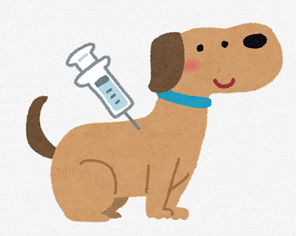 犬の注射 イラスト