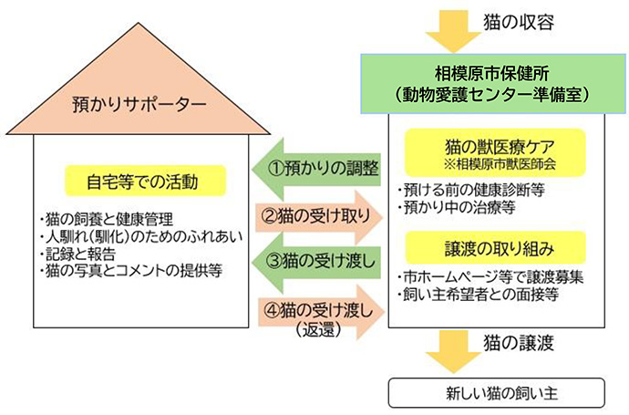 1預かりの調整：保健所からサポーターへ相談2猫の受け取り：サポーターが猫を受け取る3猫の受け渡し：ケアが終わった猫を保健所へ戻す4猫の受け渡し（返還）：必要に応じて返還　サポーターの具体的な活動内容（自宅等）猫の飼育と健康管理人馴れ（馴化）のためのふれあい記録と報告猫の写真とコメントの提供など　動物愛護センター準備室の役割1猫の獣医療ケア：預ける前の健康診断等、預かり中の治療等2譲渡の取組：市ホームページ等で譲渡募集、飼い主希望者との面接等
