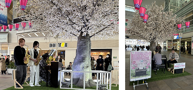 会場と演奏中の写真　令和7年3月18日～3月24日