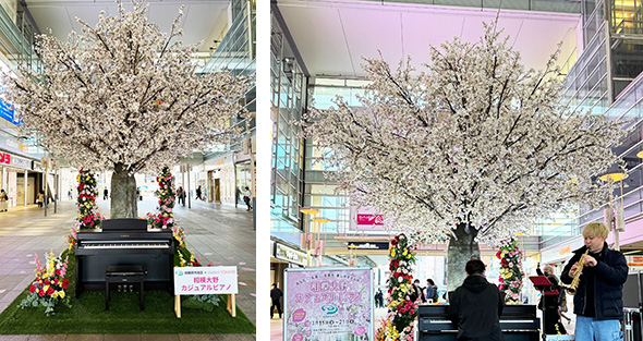 会場と演奏中の写真　令和6年3月15日～3月21日