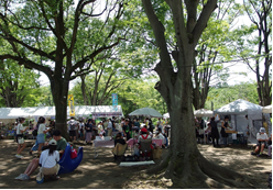 鹿沼公園銀河マルシェ　写真
