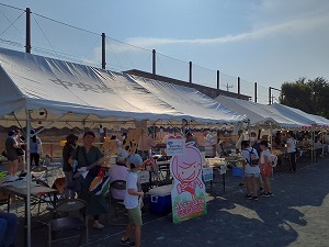 キララちゃん　写真