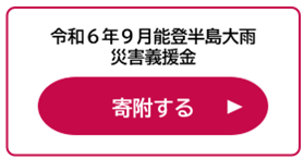 能登半島大雨災害義援金　d払いリンクバナー（外部リンク・新しいウインドウで開きます）