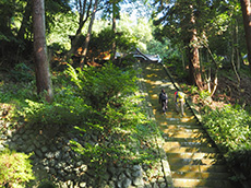 與瀬神社本殿前の急角度階段 写真