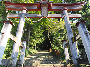 與瀬神社鳥居　写真
