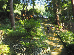與瀬神社本殿前の急角度階段　写真