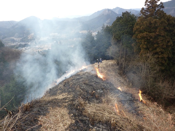 山火事の様子　写真