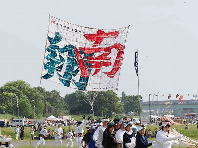 揚がり始める「南翔」の3間凧　写真
