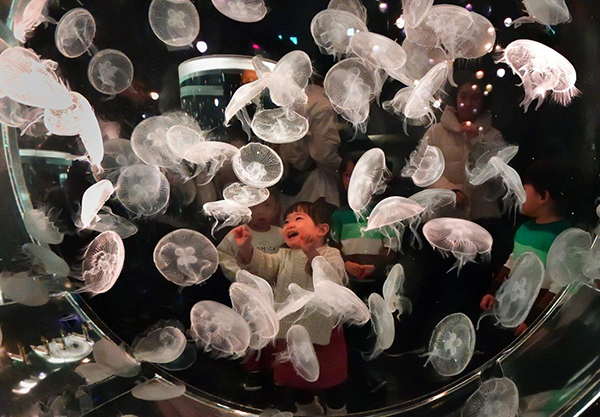 平井　正友『感動！！』