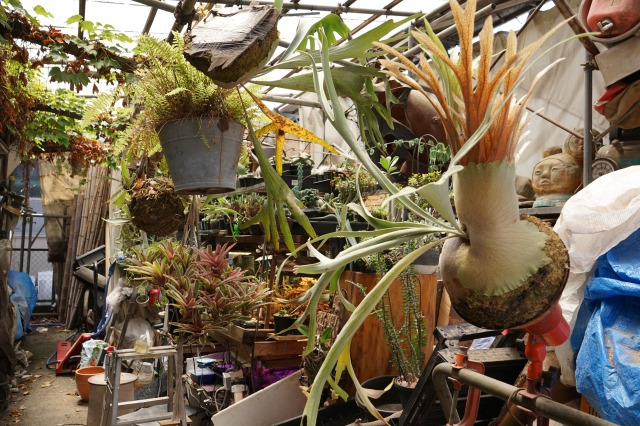 スタジオと「○○」連動企画の様子