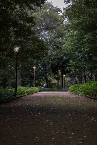 緑の小径（こみち）