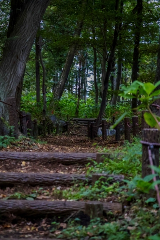 緑の小径（こみち）