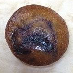 商品イメージの写真