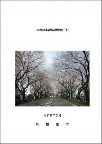 街路樹管理方針