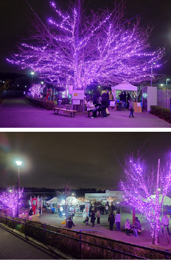 上溝イルミネーションの写真