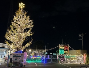 イルミネーションの様子