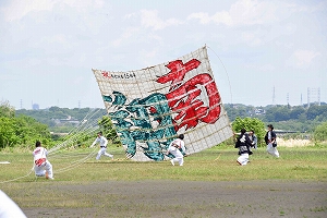 「南翔」の3間凧